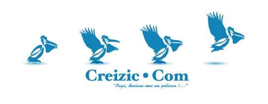 bandeau smartphone creizic com 540 x 212 4 pelicans qui prennent leur envol