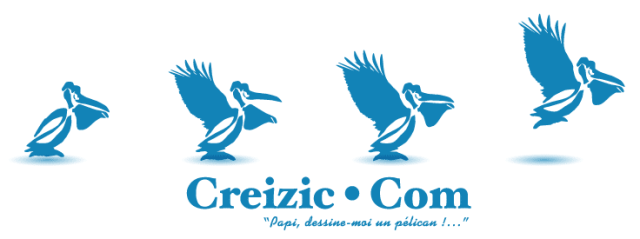 Bandeau de l'agence de création de sites internet à Nantes Creizic.com représentant un pelican qui prend son envol